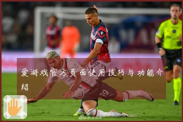 爱游戏官方页面使用技巧与功能介绍